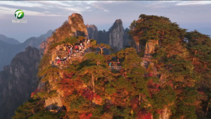 低山研学 趣游黄山