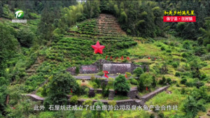 【和美乡村满天星 乡镇党委书记话振兴】舒蔚剑：深入践行“两山”理论 推进革命老区乡村振兴