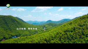 《你好 大黄山》（11）：这里是广德
