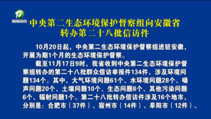 中央第二生态环境保护督察组向安徽省转办第二十八批信访件