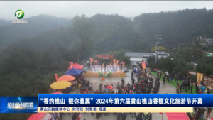 “香约樵山 榧你莫属”2024年第六届黄山樵山香榧文化旅游节开幕