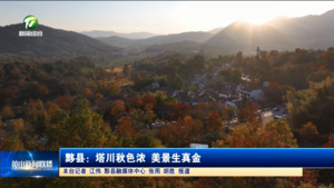 黟县：塔川秋色浓 美景生真金