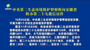中央第二生态环境保护督察组向安徽省转办第二十九批信访件