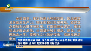 市委常委会会议强调 深入学习贯彻习近平总书记重要讲话指示精神 全力以赴完成年度目标任务