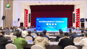 凌云在黄山市影视（网络微短剧）产业发展座谈会·新安茶会上强调 抢抓风口主动作为 推动黄山影视产业创新发展