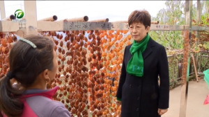 凌云赴歙县调研时强调 立足丰富资源 发展特色产业 推动农文旅康深度融合 推进乡村全面振兴