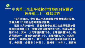 中央第二生态环境保护督察组向安徽省转办第三十一批信访件