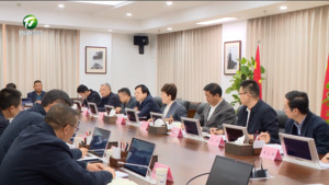 凌云在第二十次重点乡镇和景区（街区）改造提升专题汇报会上强调 发挥领头羊作用 当好领跑者角色 推动世界级旅游目的地建设