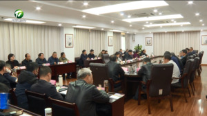 市委农村工作领导小组2024年第四次会议暨乡村振兴月度调度会召开