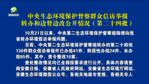 中央生态环境保护督察群众信访举报转办和边督边改公开情况（第二十四批）