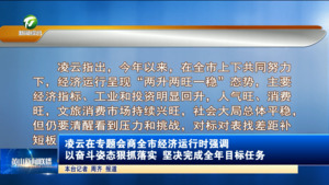 凌云在专题会商全市经济运行时强调 以奋斗姿态狠抓落实 坚决完成全年目标任务