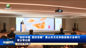 “你好中国 美好安徽”黄山市文化和旅游推介会举行 凌云等出席