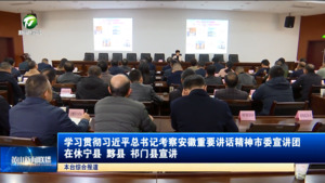 学习贯彻习近平总书记考察安徽重要讲话精神市委宣讲团在休宁县 黟县 祁门县宣讲