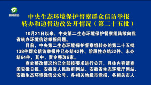 中央生态环境保护督察群众信访举报转办和边督边改公开情况（第二十五批）