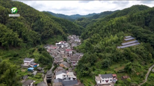 【和美乡村满天星——乡镇党委书记话振兴】叶基琴：立足乡域特色 走好振兴发展之路