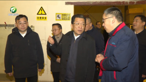 丁纯赴黄山区调研时强调 加快构建现代化产业体系 奋力开创高质量发展新局面