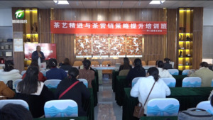 简讯:祁门：提升新技能 茶香沁心扉