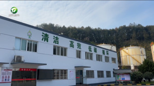 屯溪区：守好冬日道路交通“安全关”