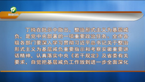 市委整治形式主义为基层减负工作专班会议召开 丁纯作出批示