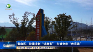 【冲刺四季度】黄山区：拉满冲刺“进度条” 打好全年“收官战”