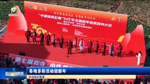 各地多彩活动 迎新年