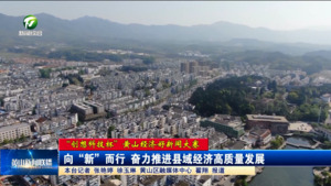 【“创想科技杯”黄山经济好新闻大赛】向“新”而行 奋力推进县域经济高质量发展