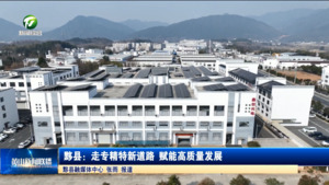 黟县：走专精特新道路 赋能高质量发展