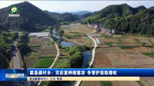 歙县森村乡：灾后复种绿意浓 冬管护苗助增收