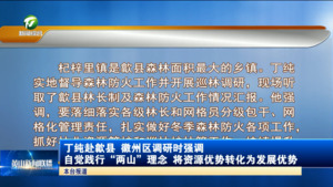 丁纯赴歙县 徽州区调研时强调 自觉践行“两山”理念 将资源优势转化为发展优势