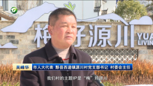 【代表委员履职记】吴峰华：改变村庄面貌 引领村民走上致富路