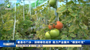 歙县石门乡：深耕绿色经济 助力产业振兴“根深叶茂”