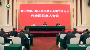 市八届人大五次会议举行代表团召集人会议