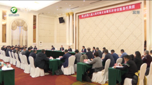丁纯在参加歙县代表团审议时强调 以更大担当真抓实干往前赶