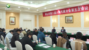 伍春宏参加黟县代表团审议时指出 “拼”出新优势 “干”出新成绩