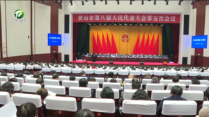 市八届人大五次会议举行第二次全体会议