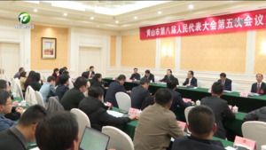 丁纯在参加黄山区代表团审议时强调 加快发展勇争先 努力拼出高质量发展新气象