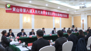 丁纯在参加徽州区代表团审议时强调 争先进位 真抓实干 推动各项工作走在前作表率