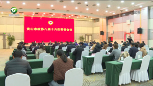 市政协召开八届十六次常委会议