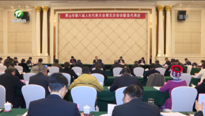 市人大代表分组审议三个报告