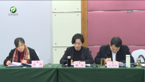 市政协委员分组讨论“两院”报告