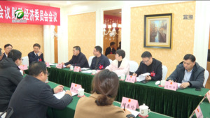 市八届人大五次会议财政经济委员会举行第二次会议