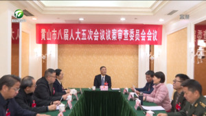 市八届人大五次会议议案审查委员会举行第二次会议