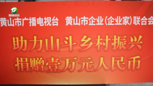 【新春走基层】黄山广电台赴山斗乡开展“乡村振兴·关爱帮扶行动”主题党日活动