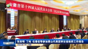 张西明 丁纯 伍春宏等参加黄山代表团审议省政府工作报告