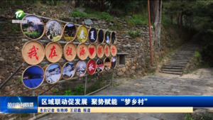 区域联动促发展 聚势赋能“梦乡村”