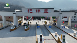 G56杭瑞高速公路杞梓里互通立交项目正式通车