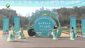 2025年黄山市文化科技卫生“三下乡”集中示范活动举行