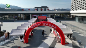 春风送岗促就业 精准服务暖民心