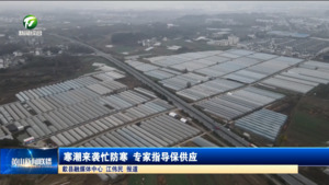寒潮来袭忙防寒 专家指导保供应