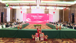 黄山籍旅外专家人才、在黄高层次人才、异地商会负责人及企业家代表新春恳谈会召开 共叙乡情 共谋发展 丁纯讲话 何毅主持 伍春宏路海燕左龙出席